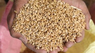 Govt trying to import wheat from 5 alternative sources: Commerce Minister