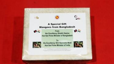 modi_mango.jpg