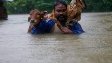 animal rescue sylhet sunamganj Severe flooding 