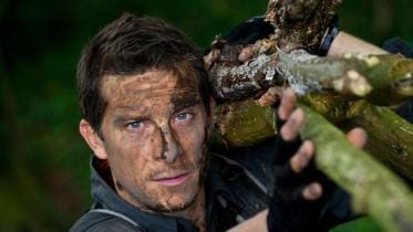 Bear Grylls