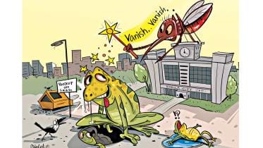 mosquito borne diseases