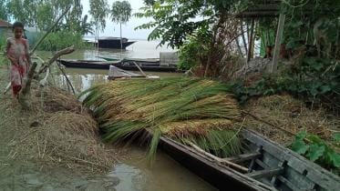 Floodwater recedes in the north