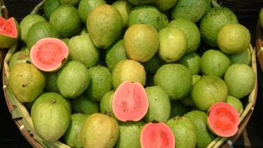 Guava