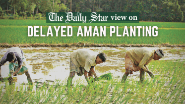 aman crop production 2022.png