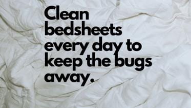 clean_bedsheets_everyday_to_keep_the_bugs_away_.jpg