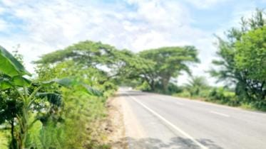 Dhaka-Khulna-Bhanga section 