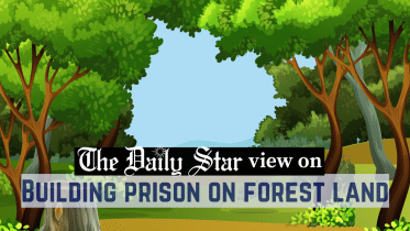 building_prison_on_forest_land.png