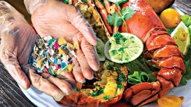 microplastic-seafood.jpg