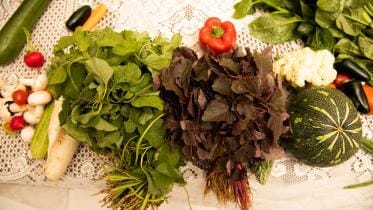 Grocery shopping to level up your diet game!