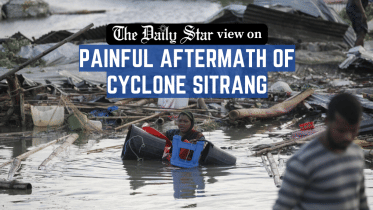 painful_aftermath_of_cyclone_sitrang.png