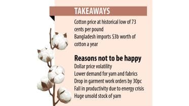 cotton price