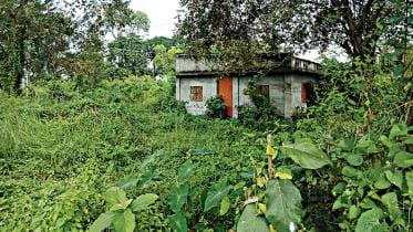 Pabna Benarasi Palli