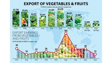 Vegetable exports low