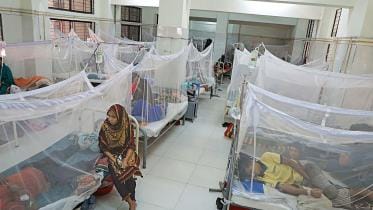dengue patients