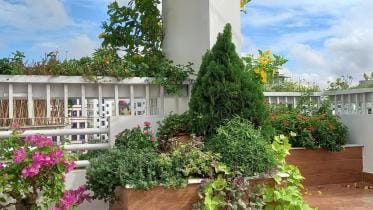 Green Me: Welcoming greenery and sustainability at your doorsteps