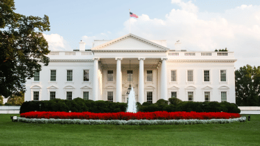 white house ai bill of rights.png