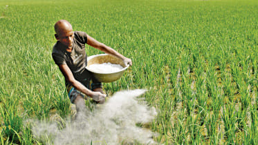 How did 2022 go for Bangladesh?