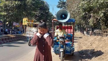 survival of the noisiest.jpg