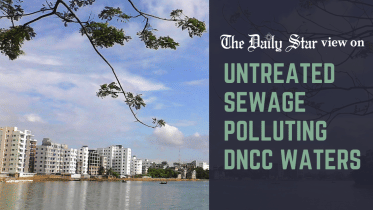 untreated sewage polluting dncc waters