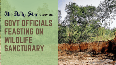 Forests under attack from government officials in Bangladesh