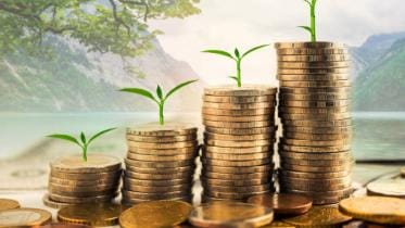 What can investing teach you?