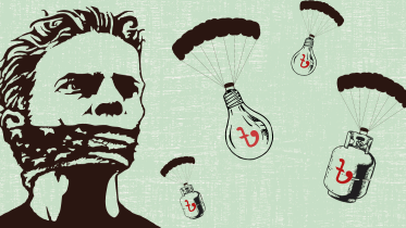 Regulatory capture of energy sector