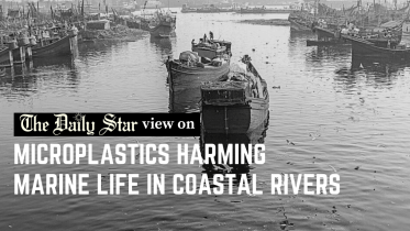 microplastics harming marine life in sundarbans