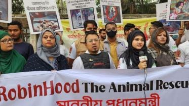 Robinhood The Animal Rescuer