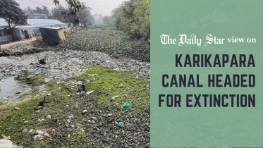 karikapara canal headed for extinction
