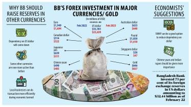 USD investment plunges