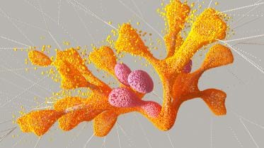 Harnessing the power of AI