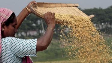 The illusion of food self-sufficiency