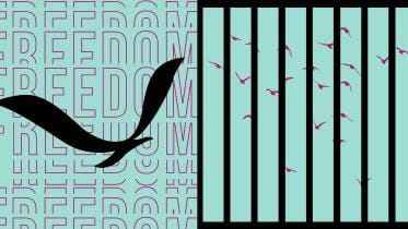 Freedom of the press.jpg