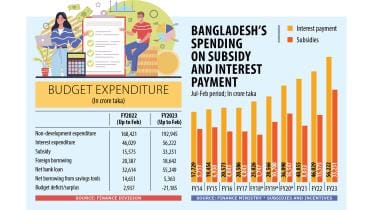 Subsidy, interest bills highest in a decade