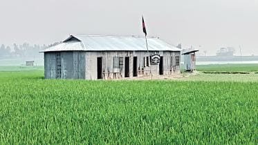govt_school_kurigram.jpg