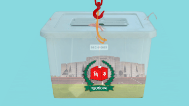 Free and fair elections 