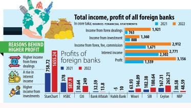 forex income soarsForeign banks