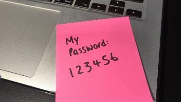 password_revealed.jpg