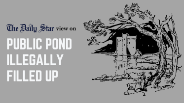 public pond illegally filled up