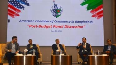 foreign exchange reserves