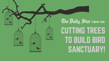 cutting trees to build bird sanctuary