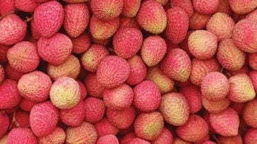 dinajpur_litchi.jpg