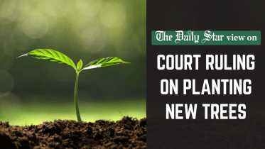 high court ruling on planting new trees