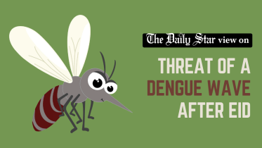 threat of a dengue wave after eid