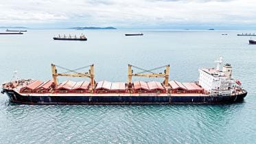 black sea grain deal