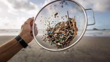 How do nanoplastics enter human bodies?