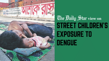 Street children's exposure to dengue