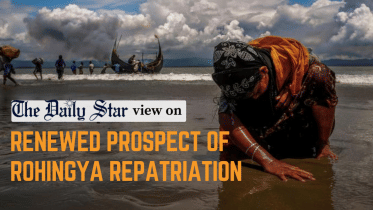 renewed prospect of rohingya repatriation