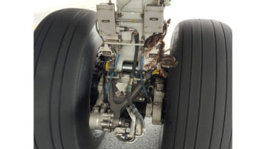 bird strike dhaka airport