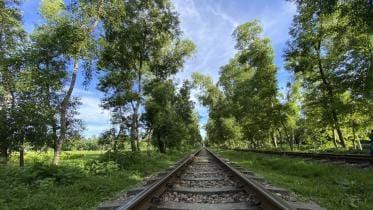 mirasharai Reasons why you should travel within Bangladesh